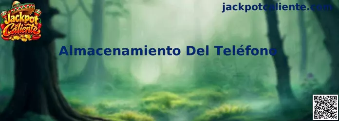 Almacenamiento Del Teléfono en dispositivos móviles